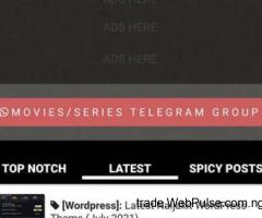 JustNaija Wordpress Theme Premium